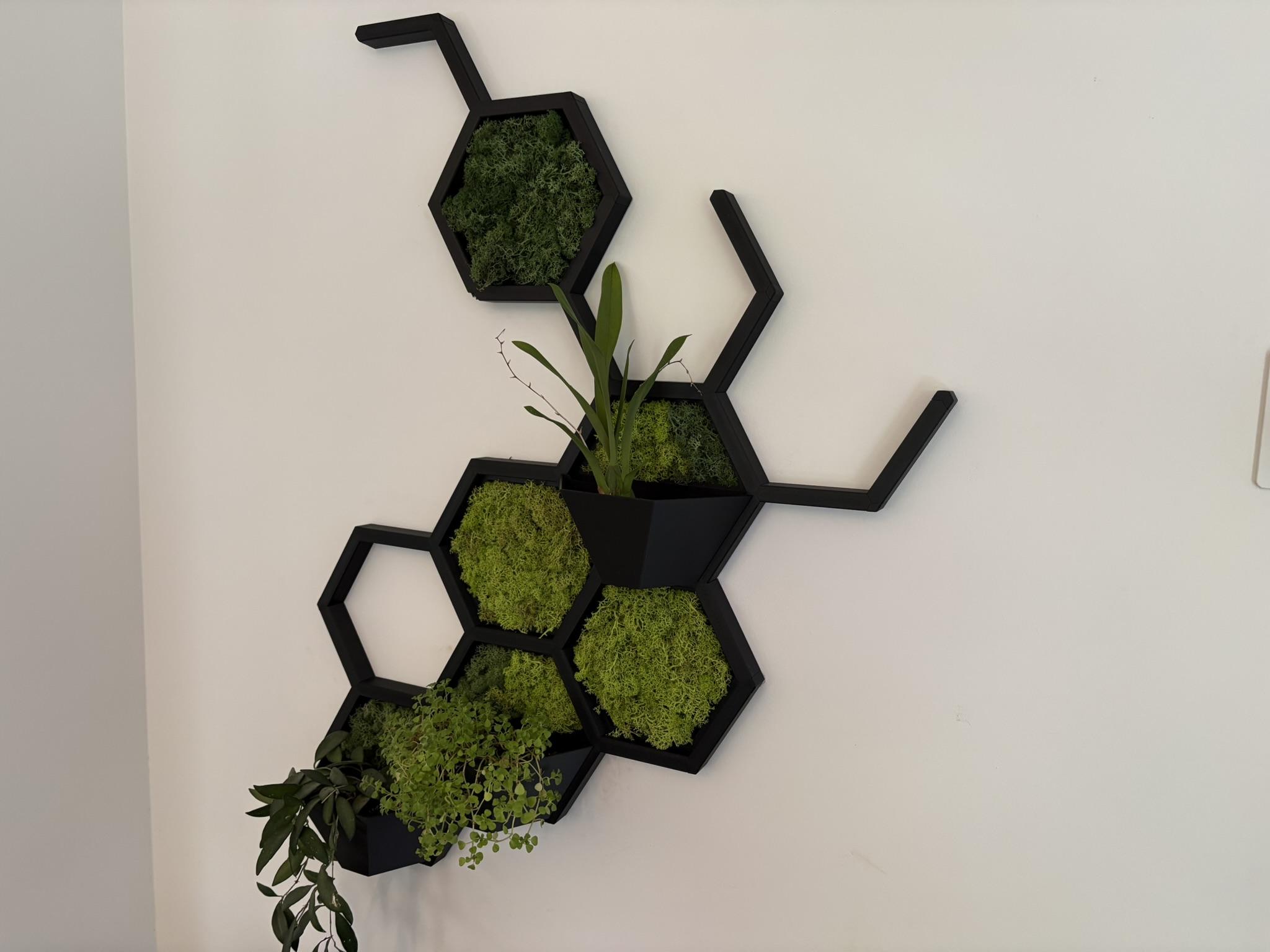 Hex-constructie met potjes in de cellen en grijze hoekconnectoren, op weg naar montage