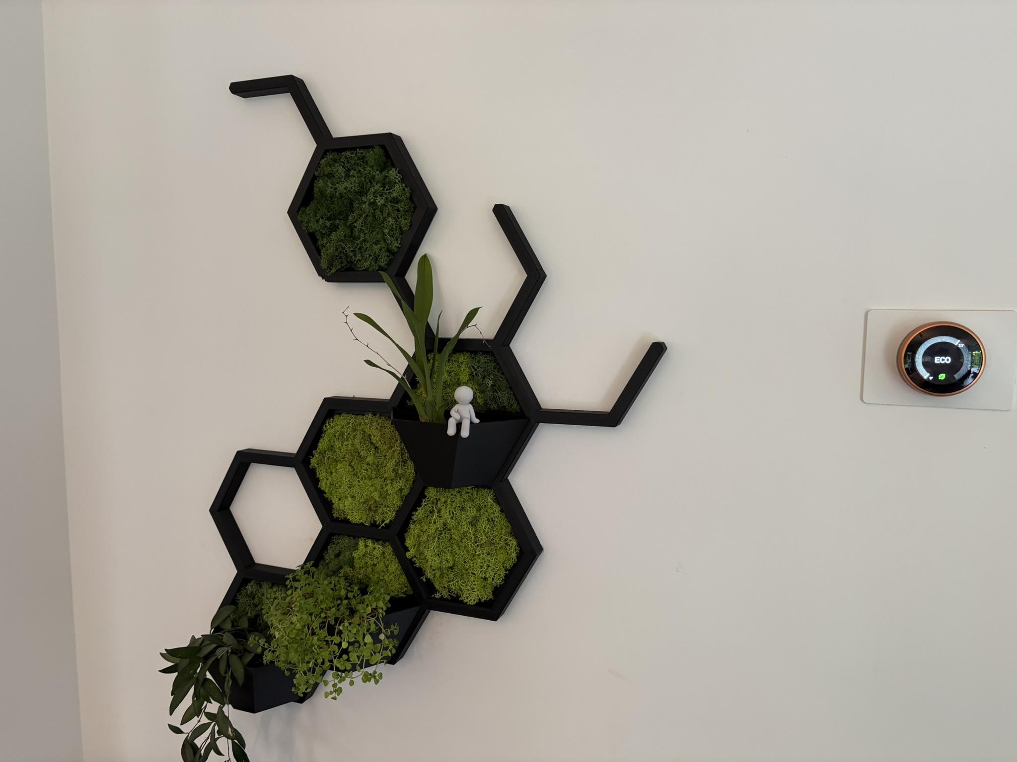 Afgewerkte Bunja-wand aan de muur met mos, potjes, afdekking en een Bunja-figuurtje