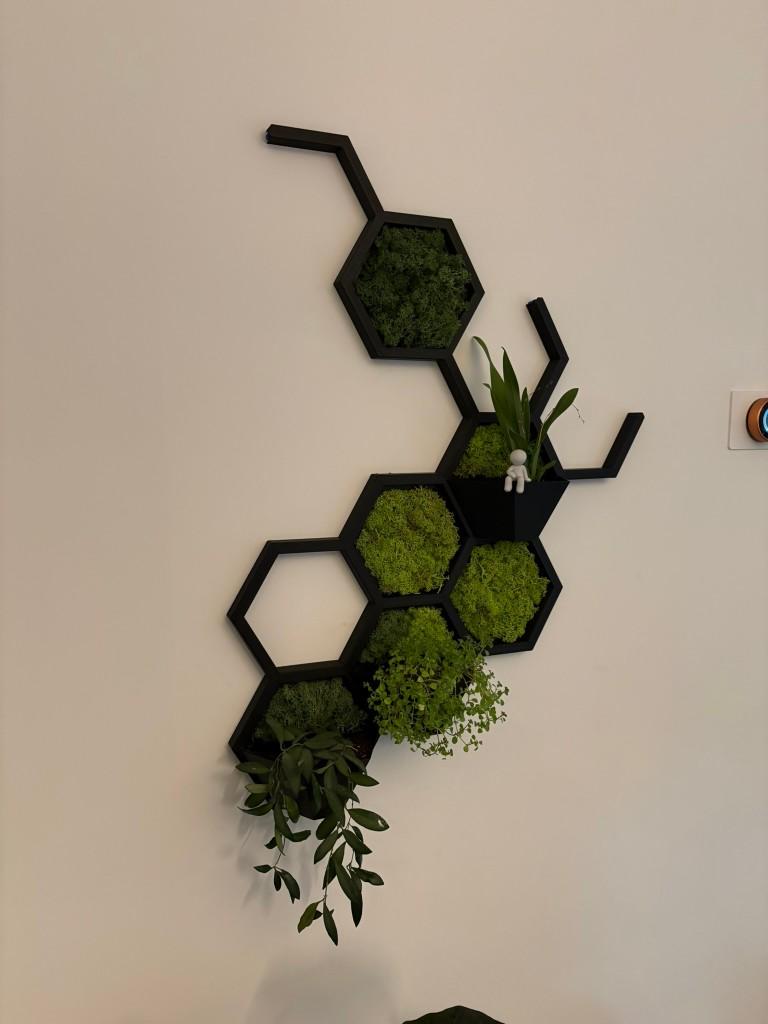Bunja hex-installatie aan de muur met mos en planten, ongeveer 1,2 meter hoog